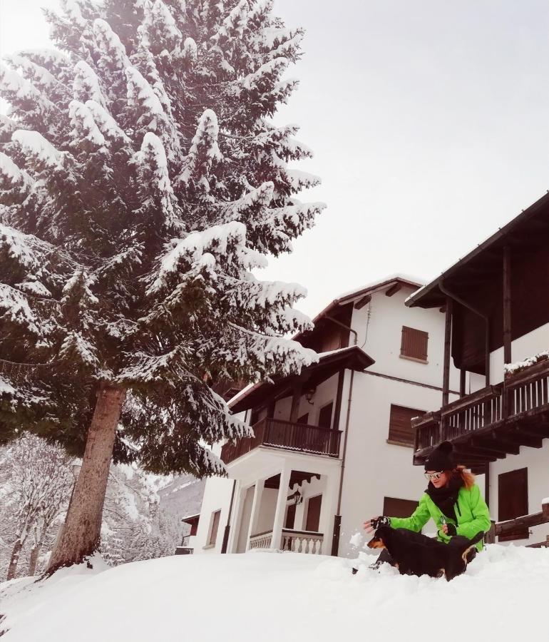 Elison-On The Lake B&B Sauris Exterior foto